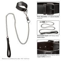 Collar With Chain Leash - Euphoria Collection - Boink Adult Boutique www.boinkmuskoka.com Canada