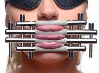 Stainless Steel Lips and Tongue Press - Boink Adult Boutique www.boinkmuskoka.com Canada