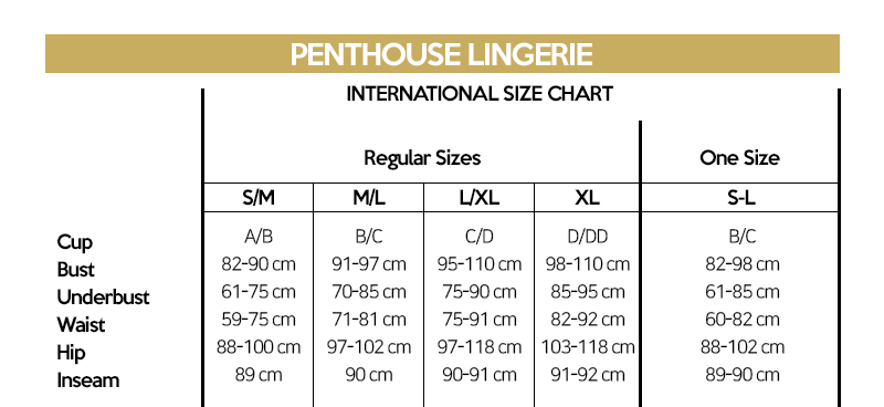 Penthouse - Casual Seduction - Mini Dress with Thong - Black - 3 Sizes - Boink Adult Boutique www.boinkmuskoka.com