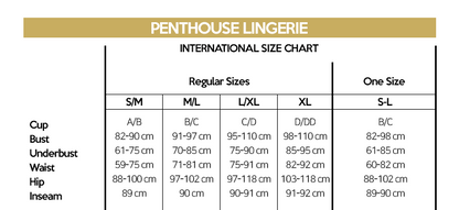 Penthouse - Double Spice - Bralette with Thong - Boink Adult Boutique www.boinkmuskoka.com